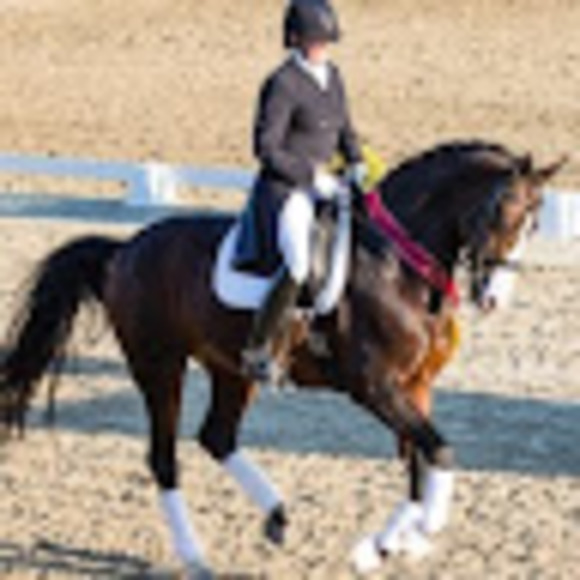 equitodressage